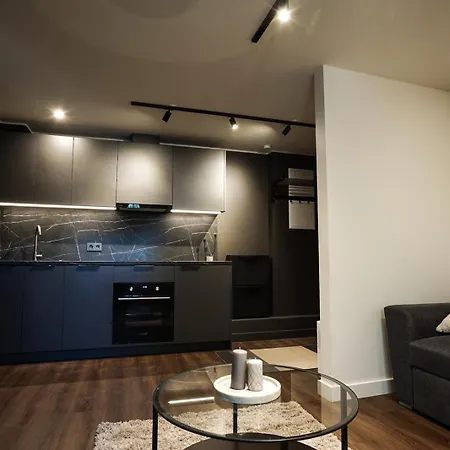 Gertrudes Avoti Apartament *